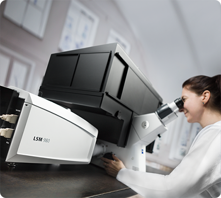 Bio Ingeniería